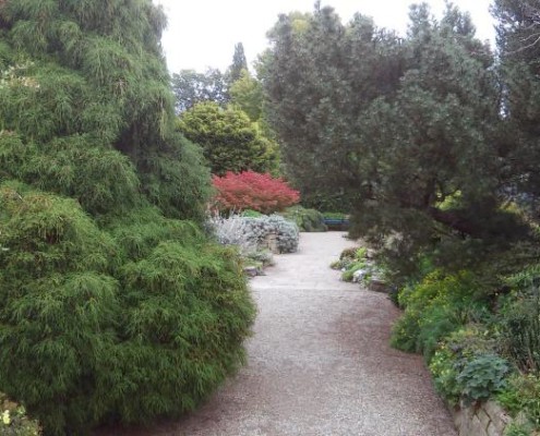 Der Berggarten Hannover Herrenhausen