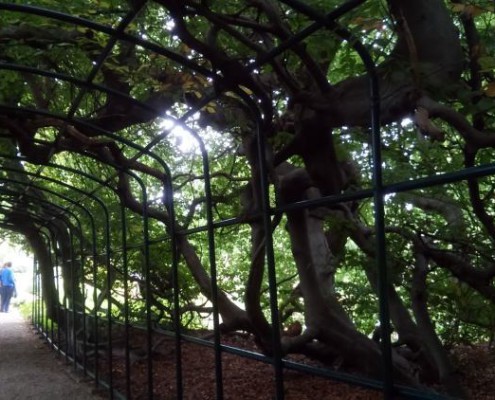 Der Berggarten Hannover Herrenhausen