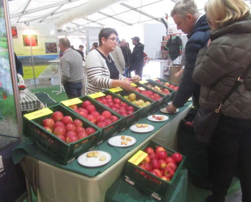 Norddeutsche Obstbautage im Alten Land 2019